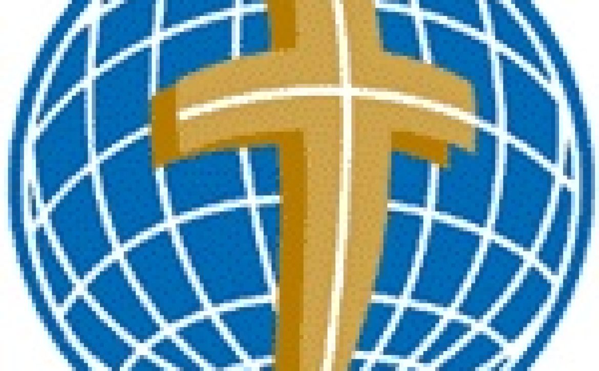 parazubi