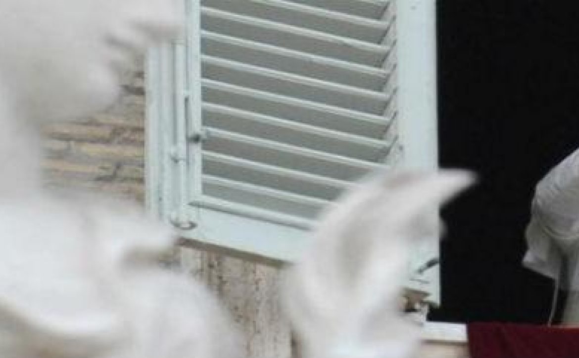 ventana-720_720x241