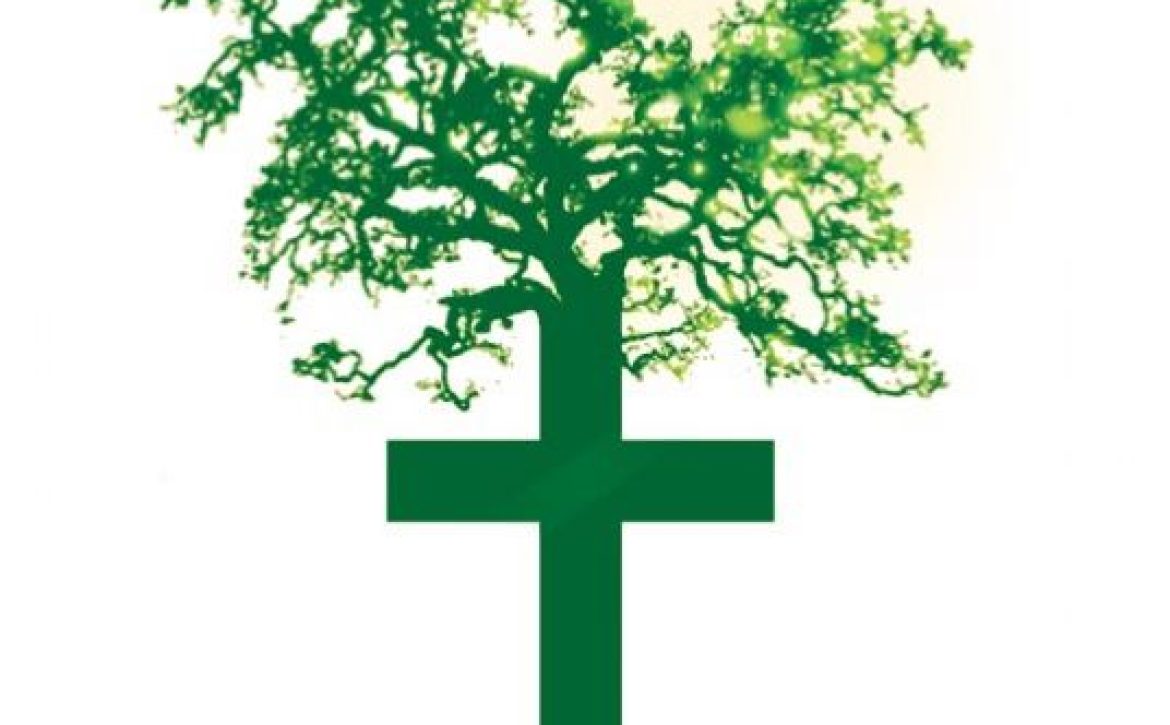 ecologia-cruz