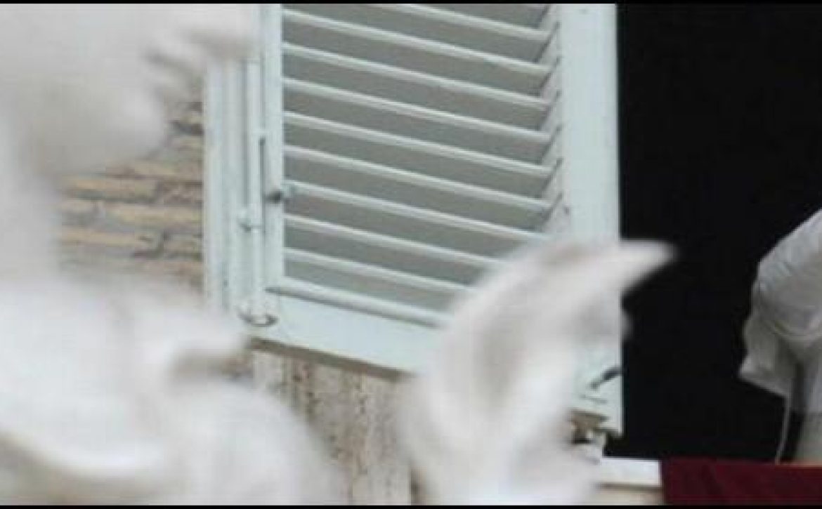 ventana-720_560x280