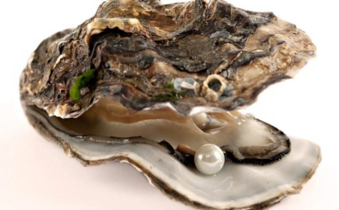 Ostra-898275991