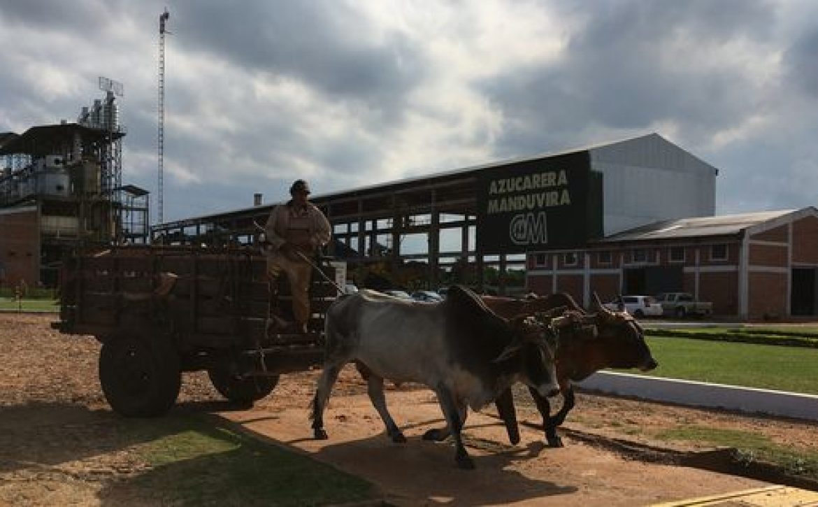 fabrica-cooperativa-azucarera-Manduvira_EDIIMA20170427_0494_20