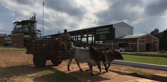 fabrica-cooperativa-azucarera-Manduvira_EDIIMA20170427_0494_20