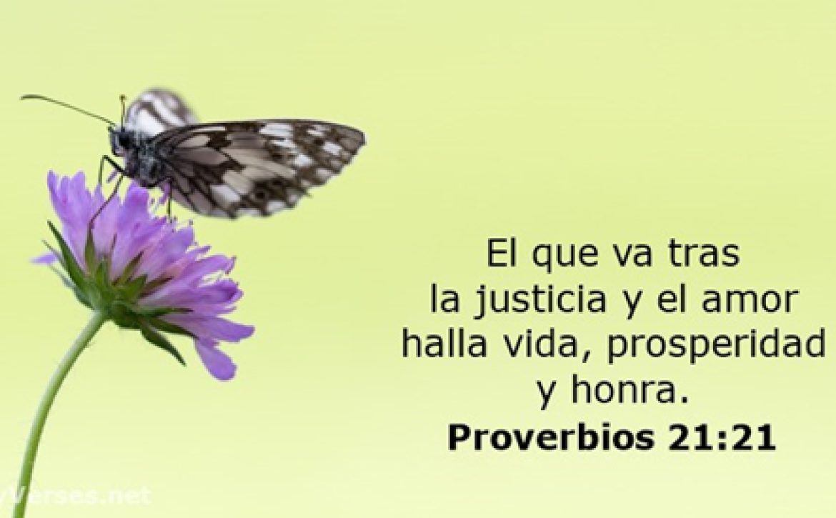 justicia social