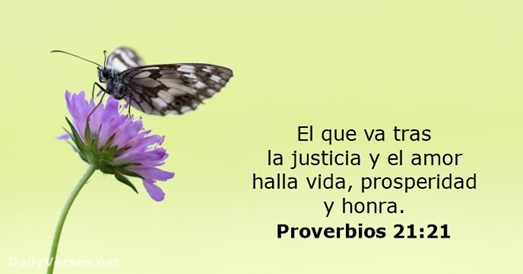 justicia social