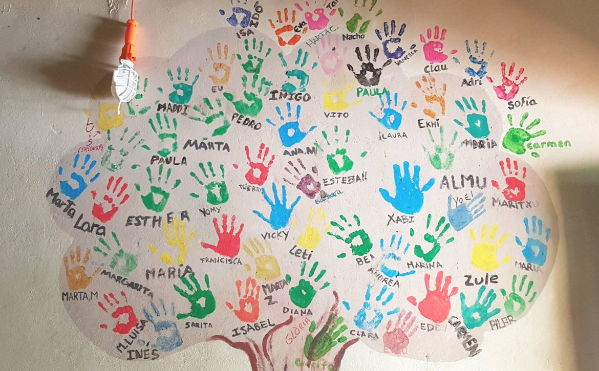 Árbol voluntarios el Valle