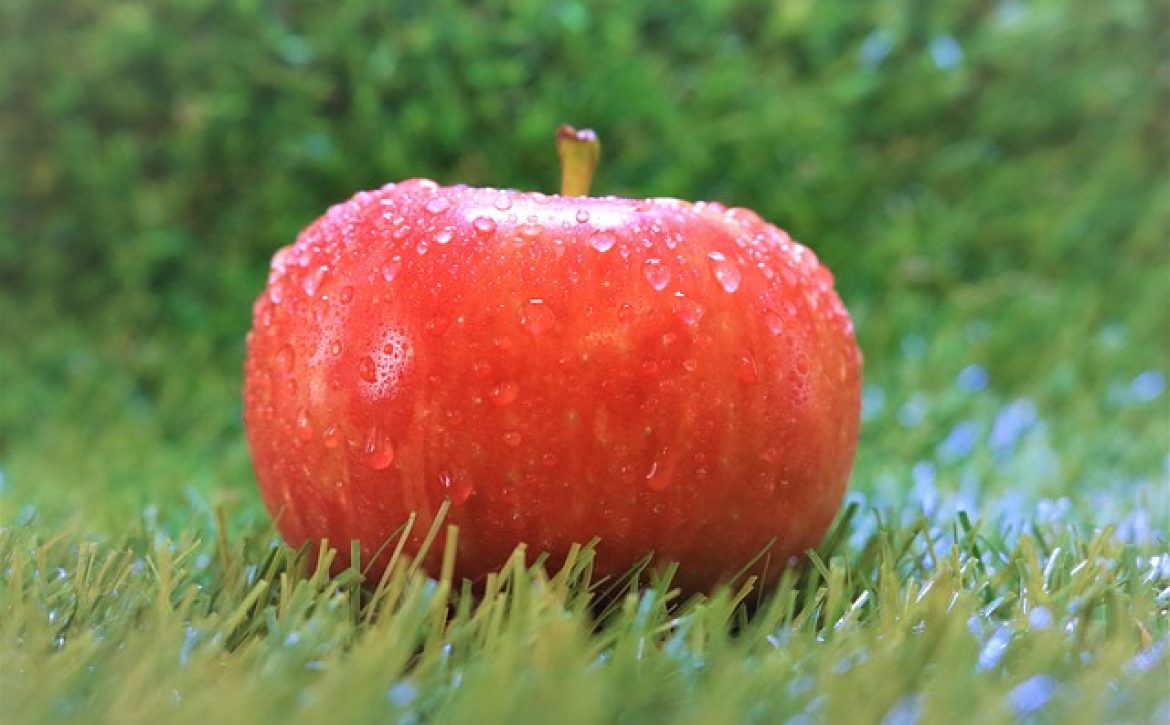 fruit-3196794_640